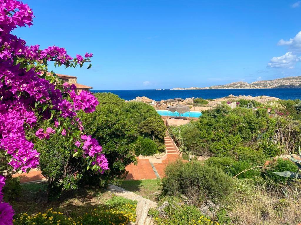 Вилла Casa Mughetto R5055 Seafront, Private Sea Access, Swimming Pool Ла-Маддалена Экстерьер фото